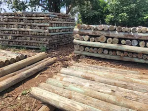 Treated Wooden Poles 10ft/3m (4-5 5-6inches Diameter)