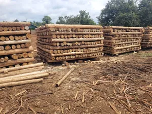Treated Wooden Poles 10ft/3m (4-5 5-6inches Diameter)