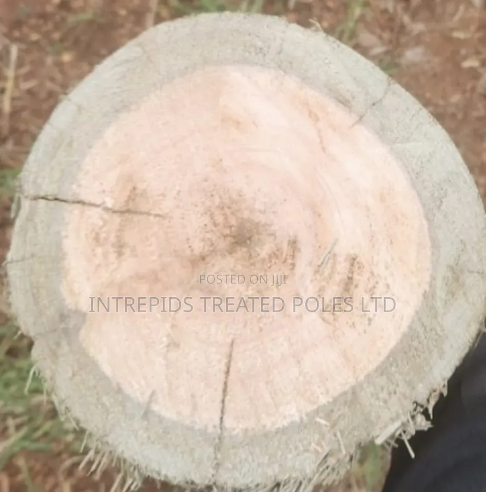 Treated Wooden Poles 10ft/3m (4-5 5-6inches Diameter)