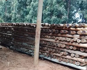 Quality Treated Poles 8ft/2.4m(4-5inches Diameter)