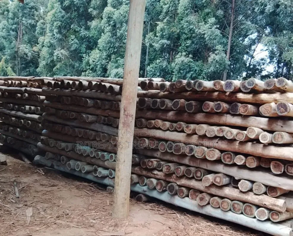 Quality Treated Poles 8ft/2.4m(4-5inches Diameter)