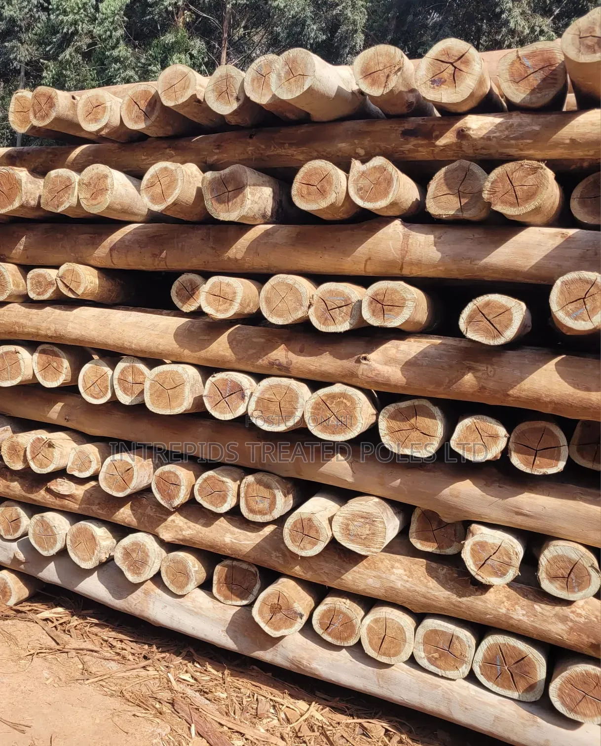 Quality Treated Poles 8ft/2.4m(4-5inches Diameter)