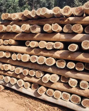 Quality Treated Poles 8ft/2.4m(4-5inches Diameter)