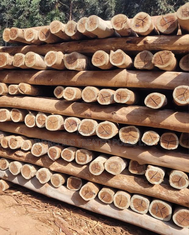 Quality Treated Poles 8ft/2.4m(4-5inches Diameter) - thumbnail 2