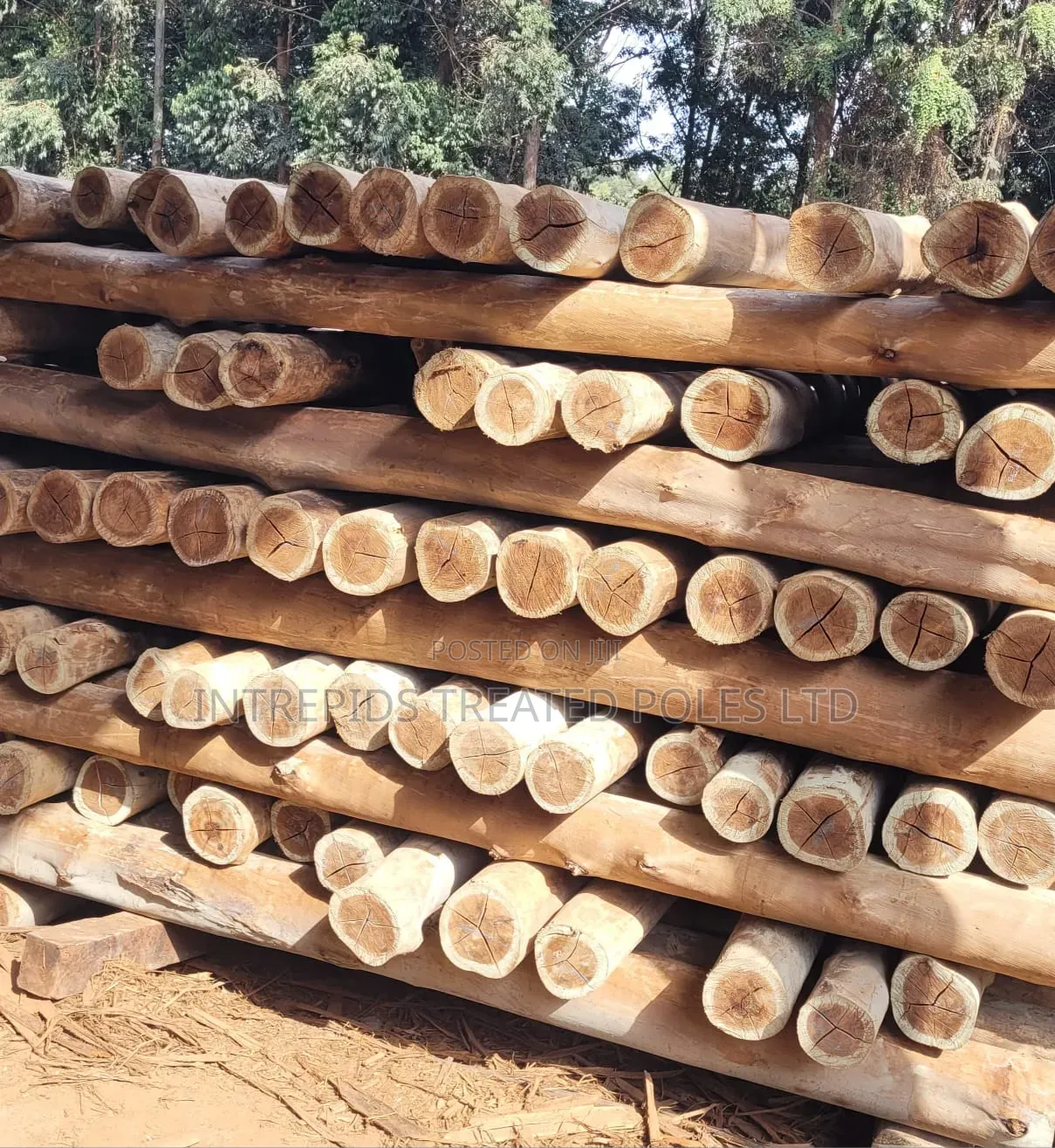 Quality Treated Poles 8ft/2.4m(4-5inches Diameter)