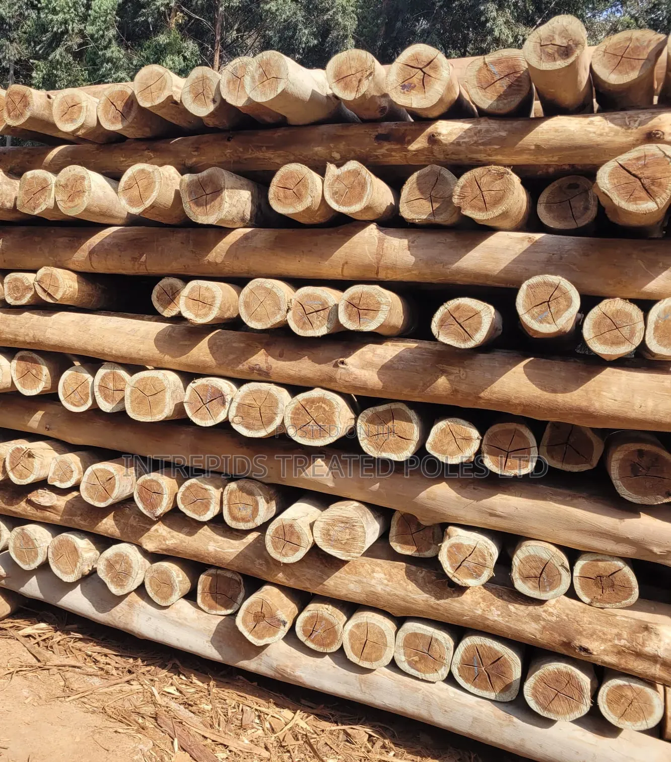 Quality Treated Poles 8ft/2.4m(4-5inches Diameter)