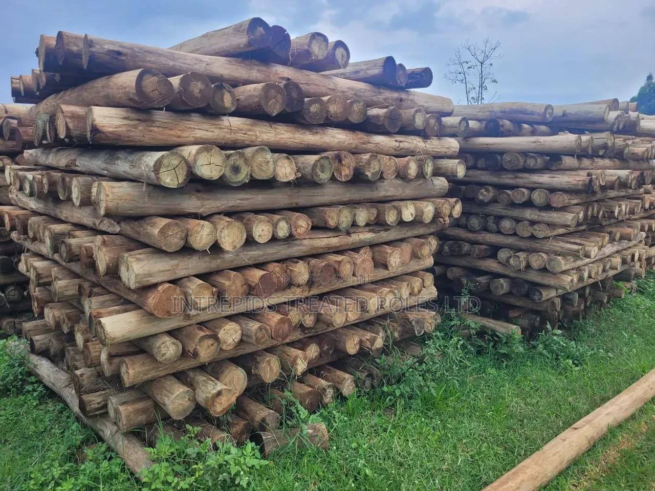 Quality Treated Poles 7ft (4-5 5-6inches Diameter)
