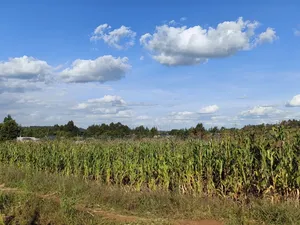 100x100 Plot for Sale in Thigio Kikuyu.