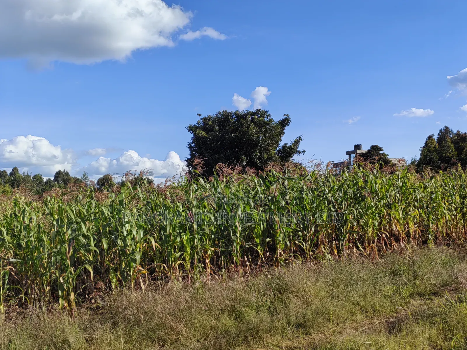 100x100 Plot for Sale in Thigio Kikuyu.