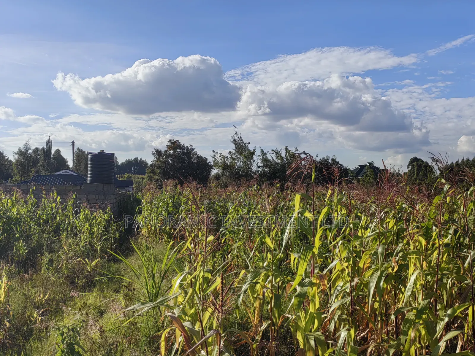 100x100 Plot for Sale in Thigio Kikuyu.