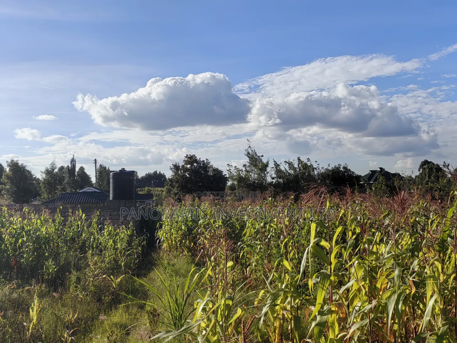 100x100 Plot for Sale in Thigio Kikuyu.