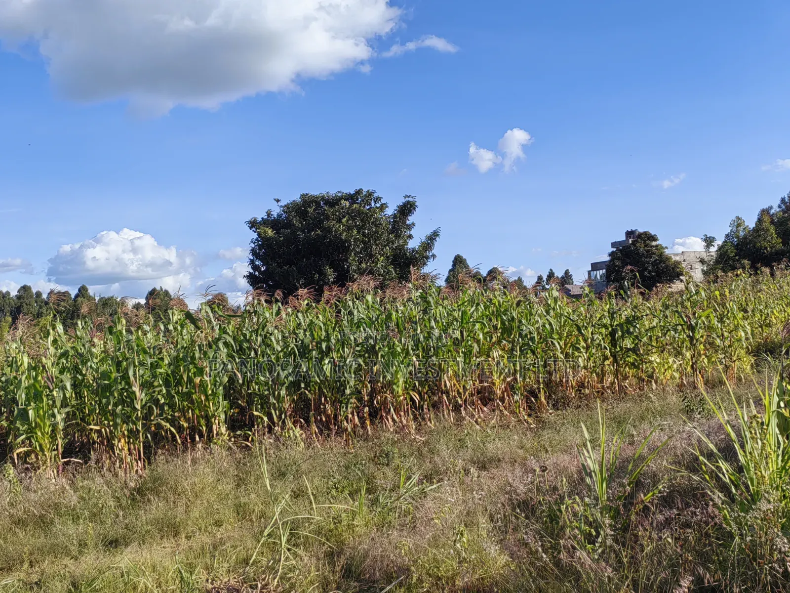 100x100 Plot for Sale in Thigio Kikuyu.