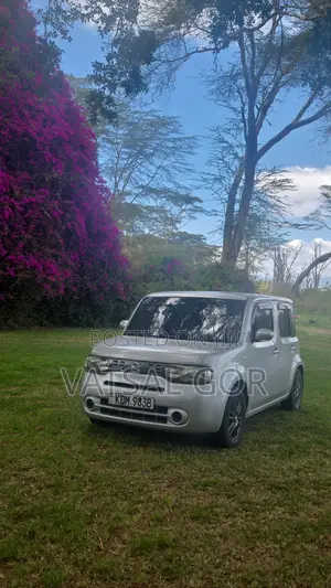 Nissan Cube 2016 Silver