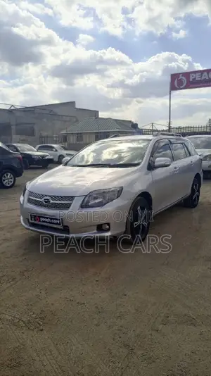 Toyota Corolla Fielder 2008 Silver