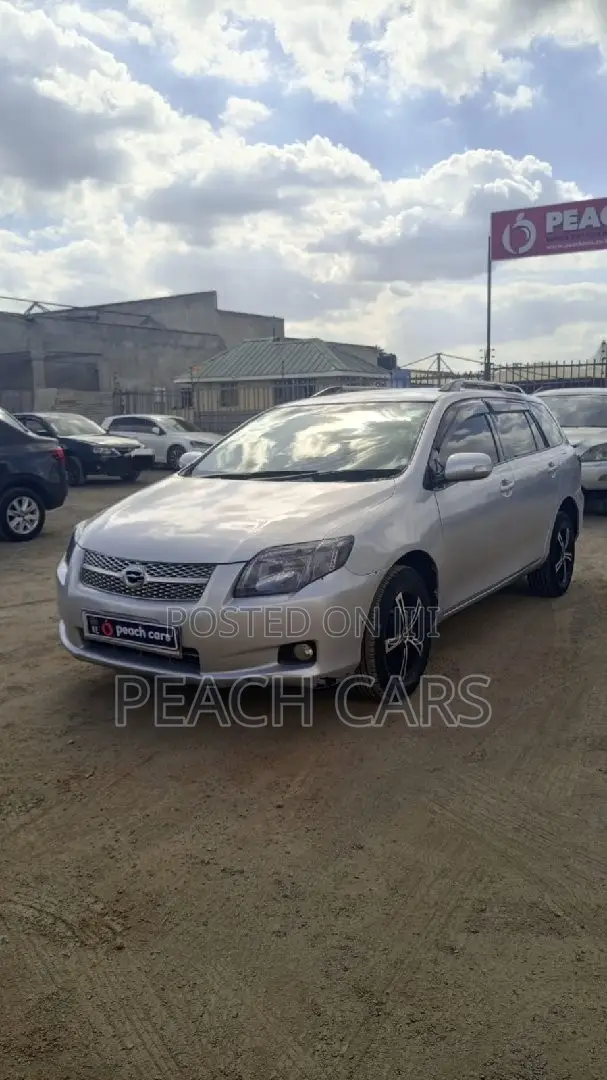 Toyota Corolla Fielder 2008 Silver
