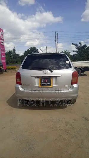 Toyota Corolla Fielder 2008 Silver
