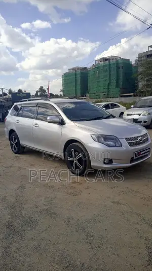 Toyota Corolla Fielder 2008 Silver