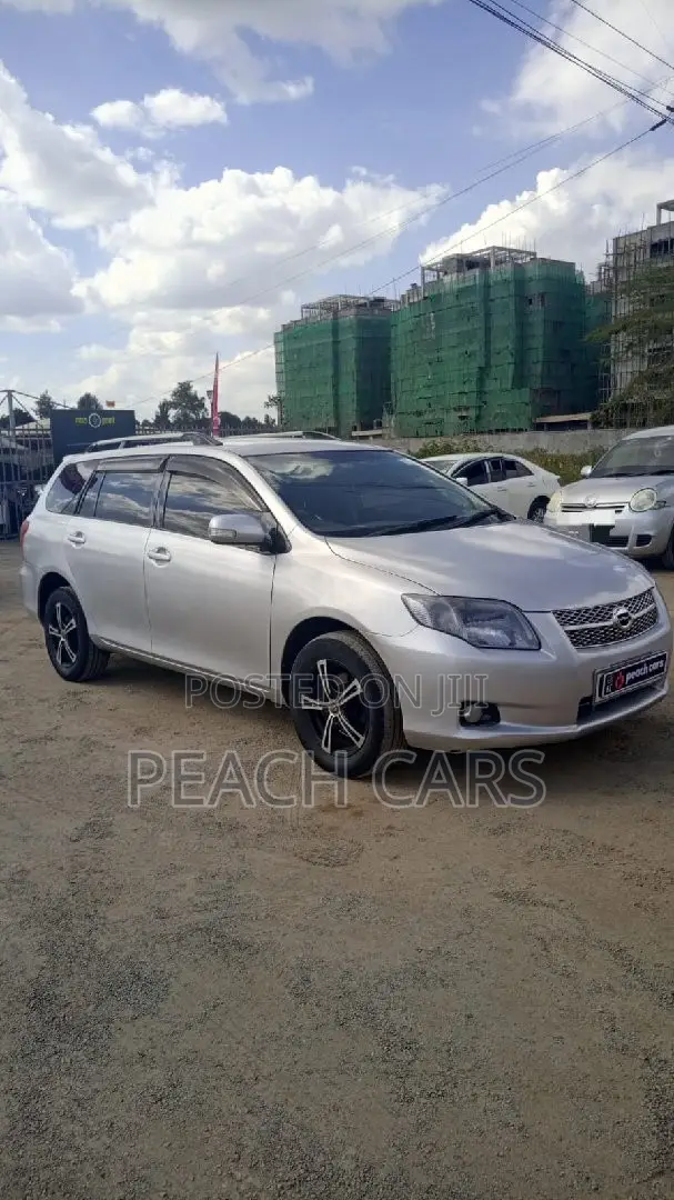 Toyota Corolla Fielder 2008 Silver
