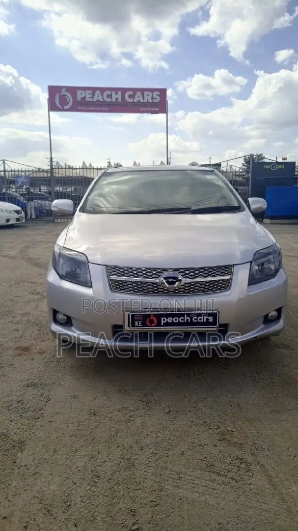 Toyota Corolla Fielder 2008 Silver