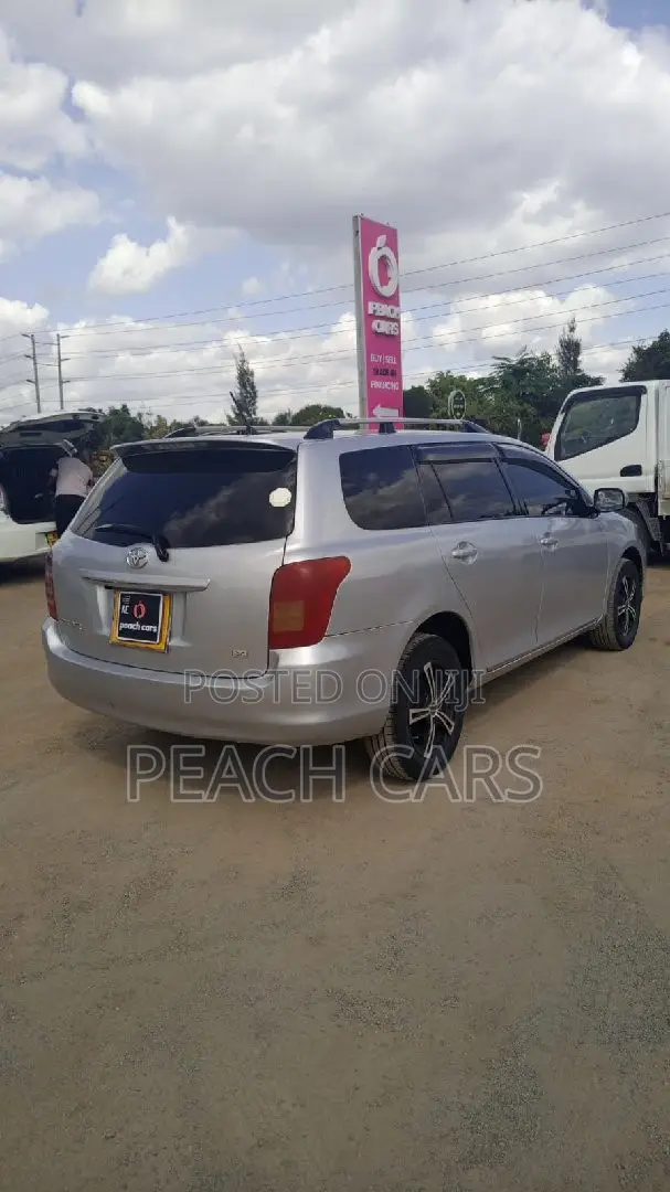 Toyota Corolla Fielder 2008 Silver