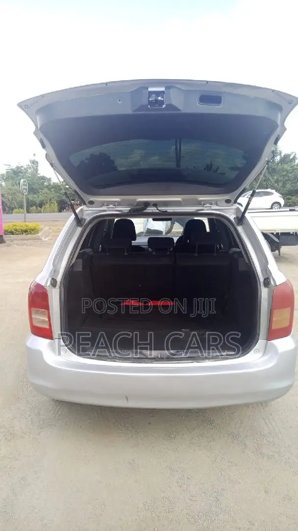 Toyota Corolla Fielder 2008 Silver