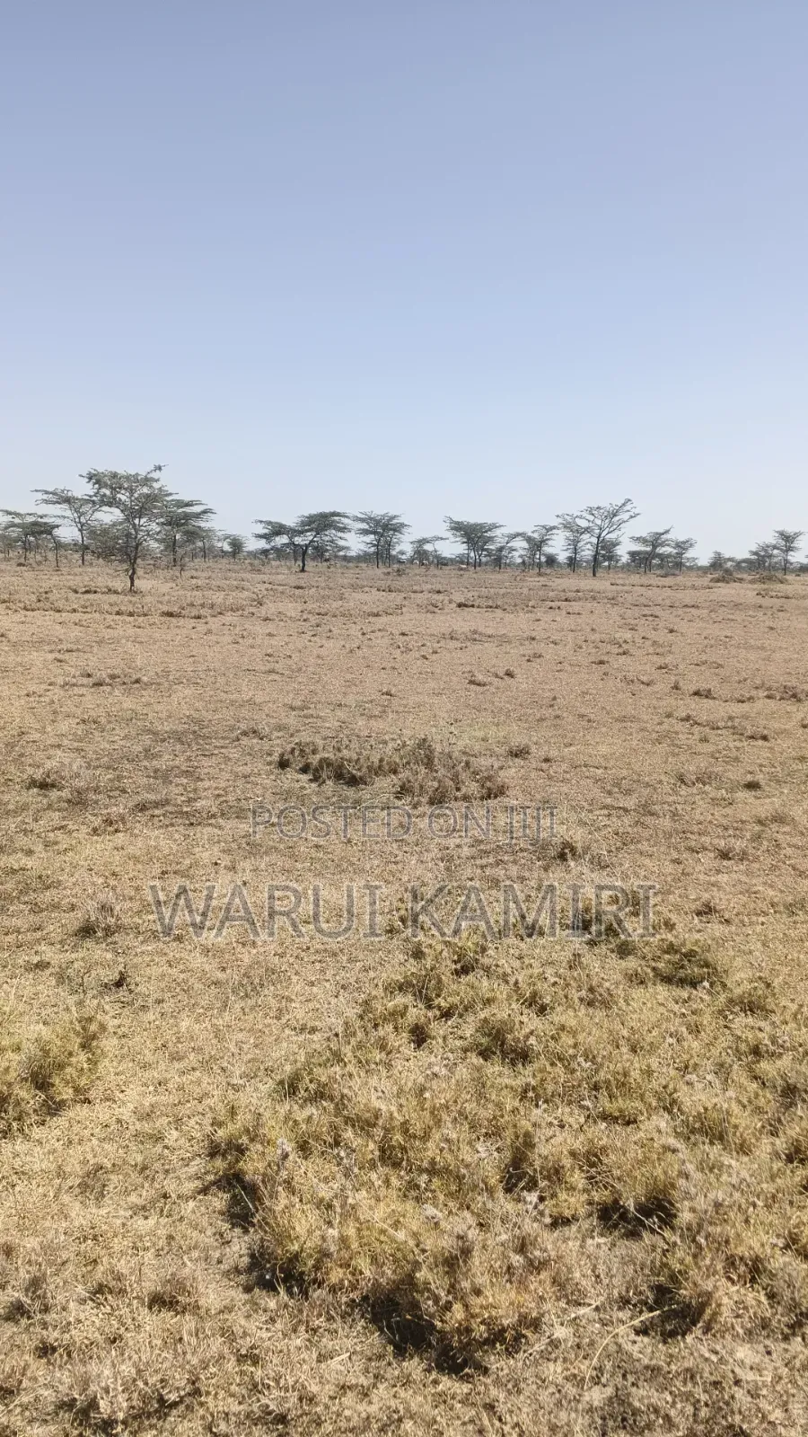 3 Acres for Sale in Ngobit