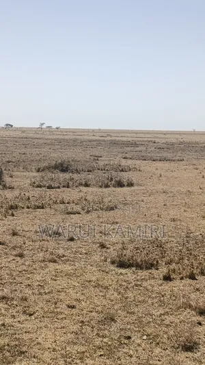 3 Acres for Sale in Ngobit