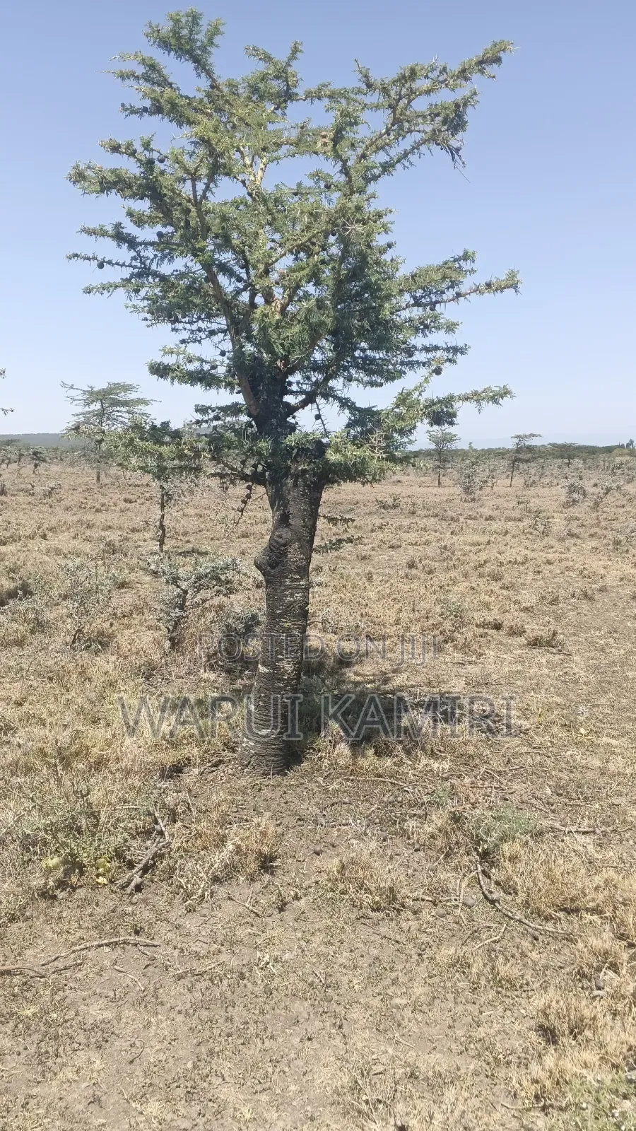 3 Acres for Sale in Ngobit