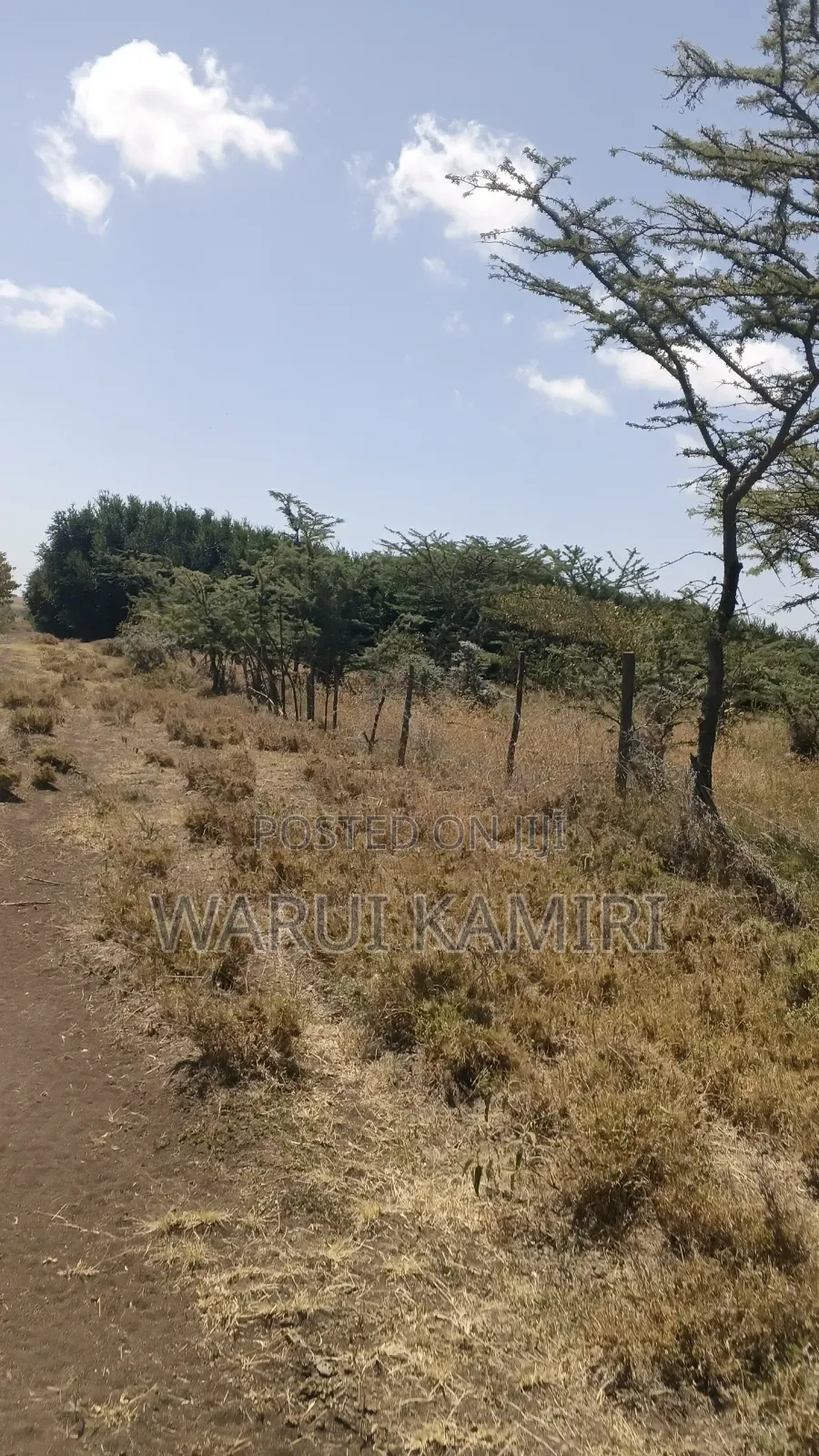 3 Acres for Sale in Ngobit