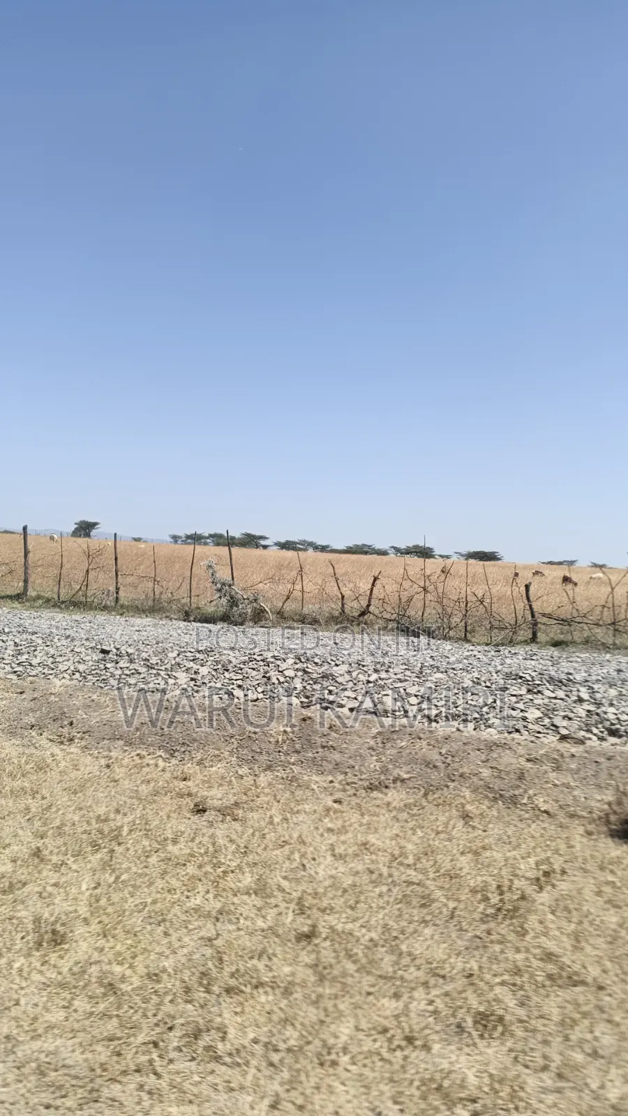 3 Acres for Sale in Ngobit