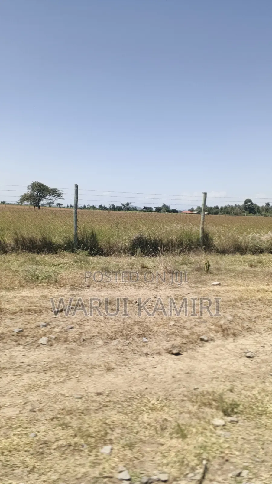 3 Acres for Sale in Ngobit