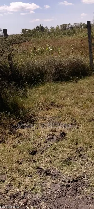 1and a Half Acre for Sale in Rangau