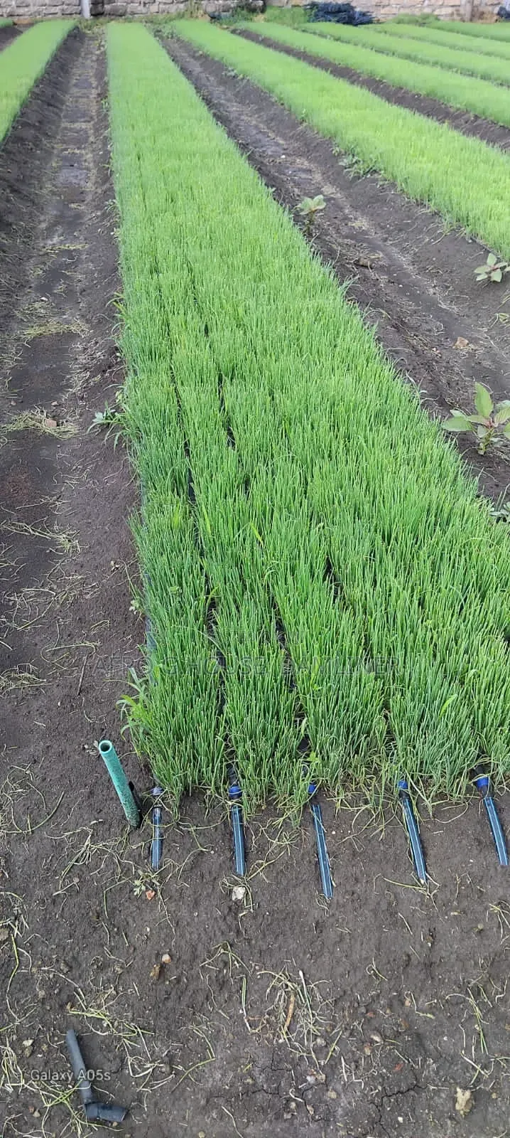 16mm Dripline Take Off