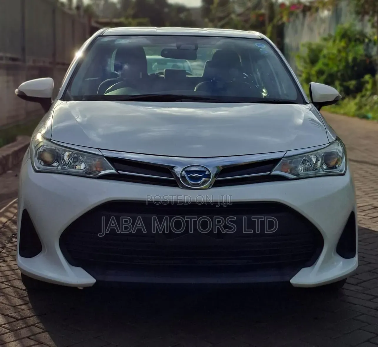 Toyota Axio 2019 White