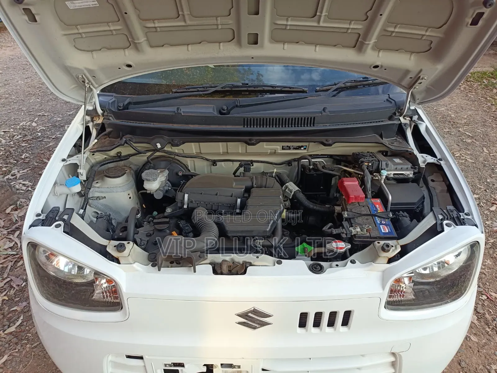 Suzuki Alto 660cc FWD 2019 White