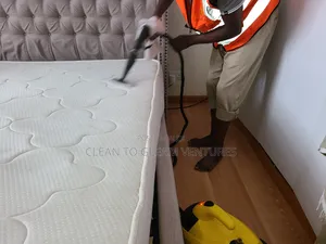 Steam Cleaning: Mattresses, Sofaseats, Car Seats and Office Seats