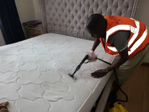 Steam Cleaning: Mattresses, Sofaseats, Car Seats and Office Seats