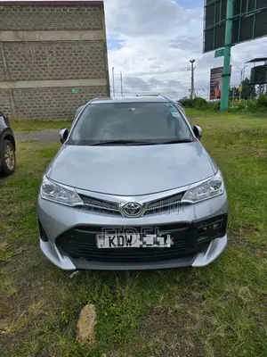 Toyota Axio 2019 Gray