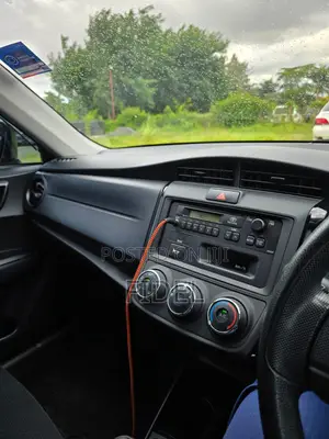 Toyota Axio 2019 Gray