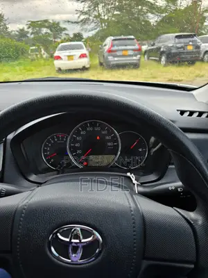 Toyota Axio 2019 Gray