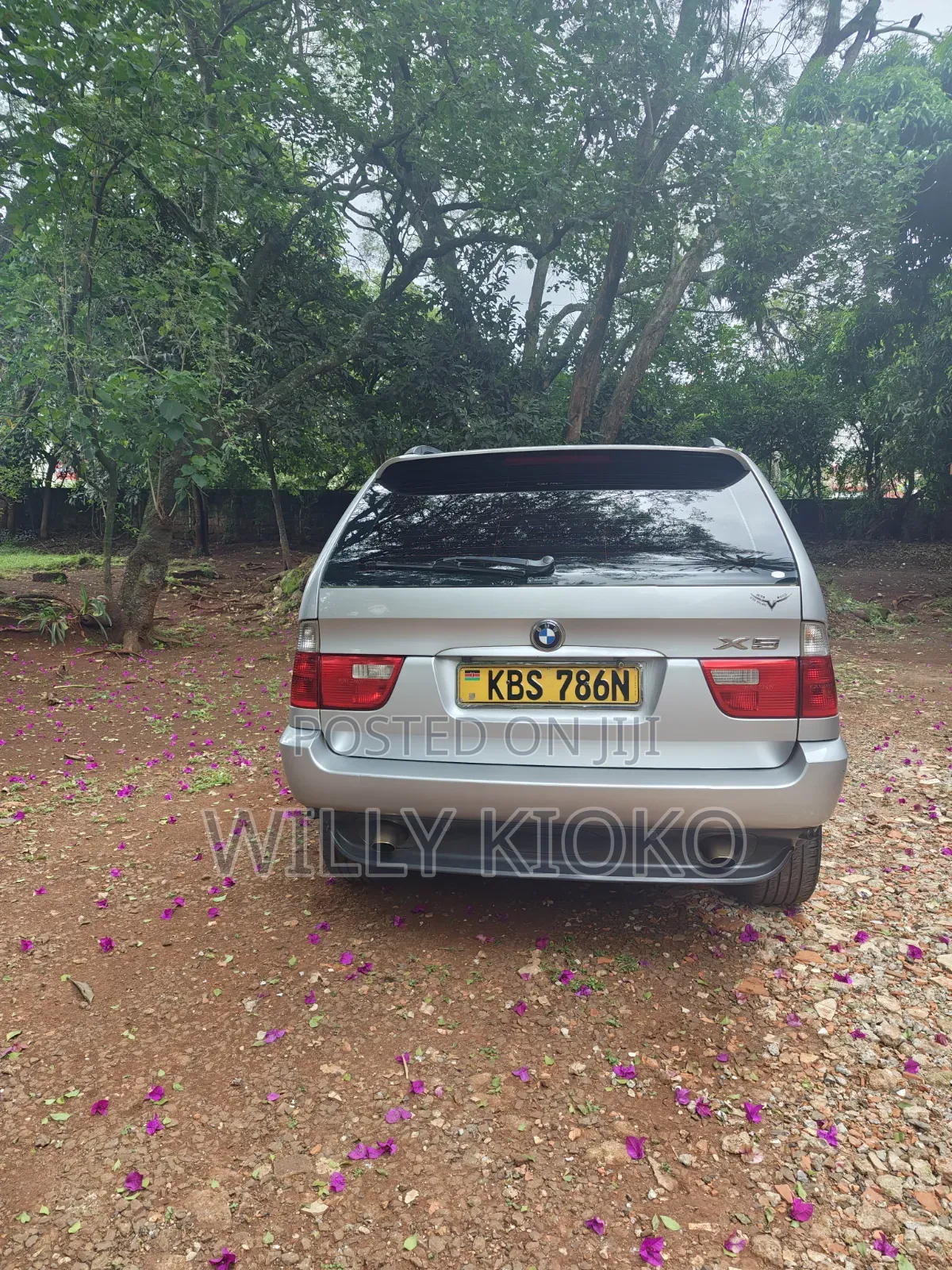 BMW X5 2006 Silver