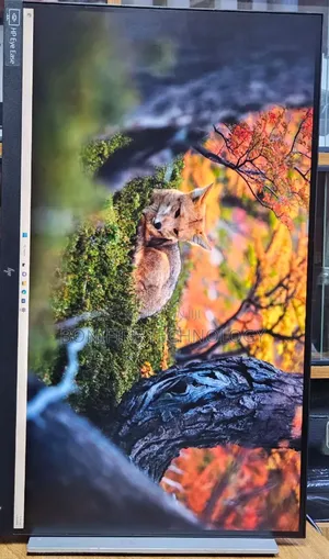 Hp 27inch Monitor  Model: E27q G4  Display (2560x1440p)