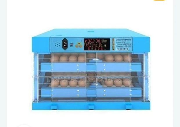 Egg Incubator