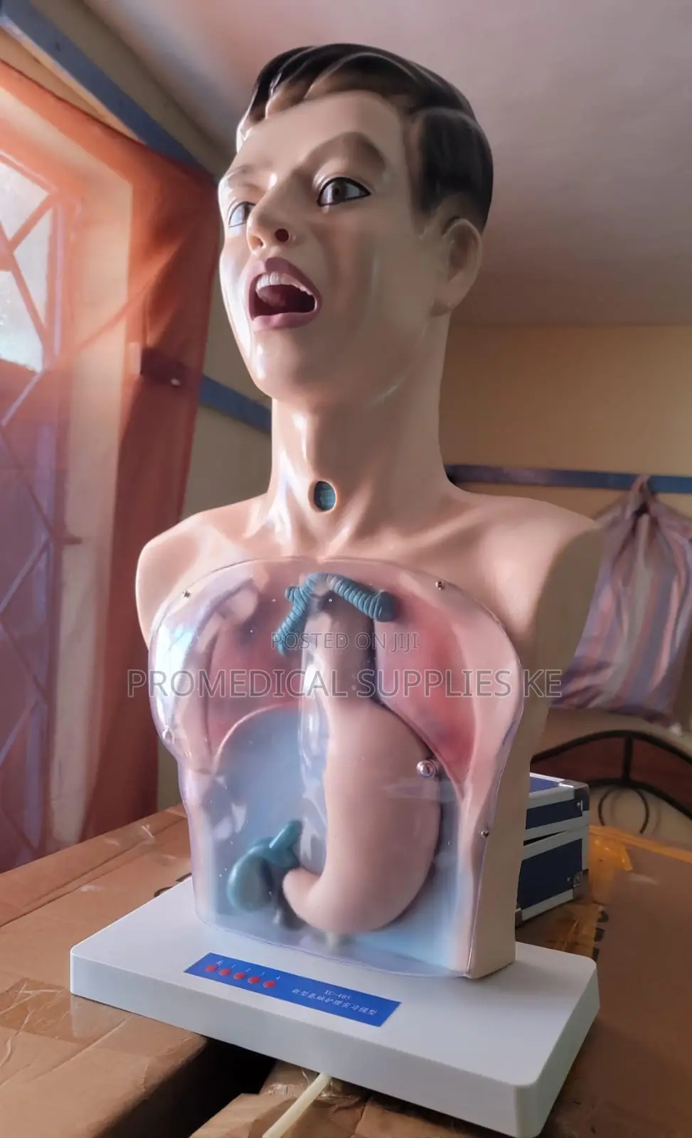 Gastric Lavage