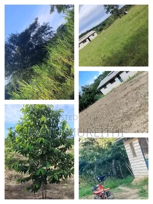 Developed 12 Acre Agricultural Land, Msambweni