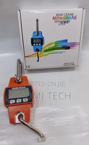 Original 300kg Hanging Scale/300kg Crane Scale