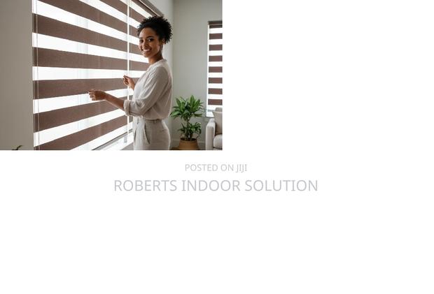 Two-in-One Sheer Solid Window Shade Blinds