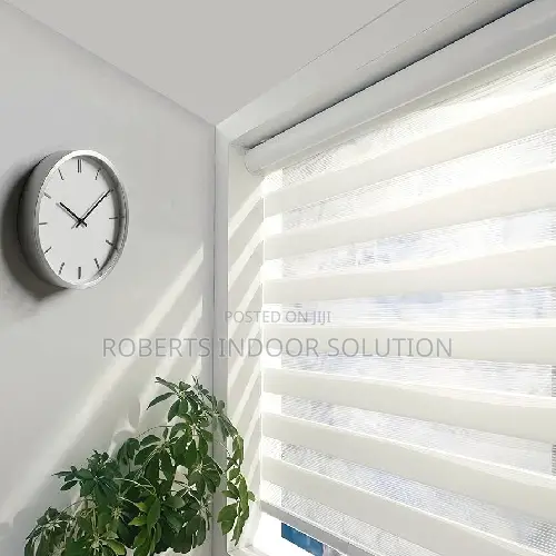 Day and Night Window Blinds