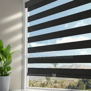 Privacy Zebra Blinds