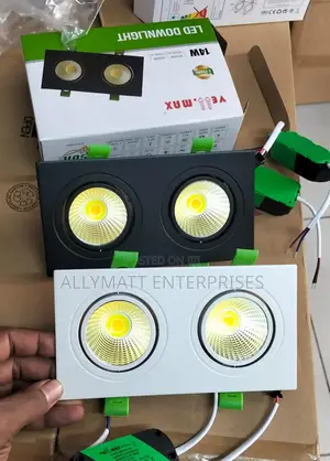 Double Down Light